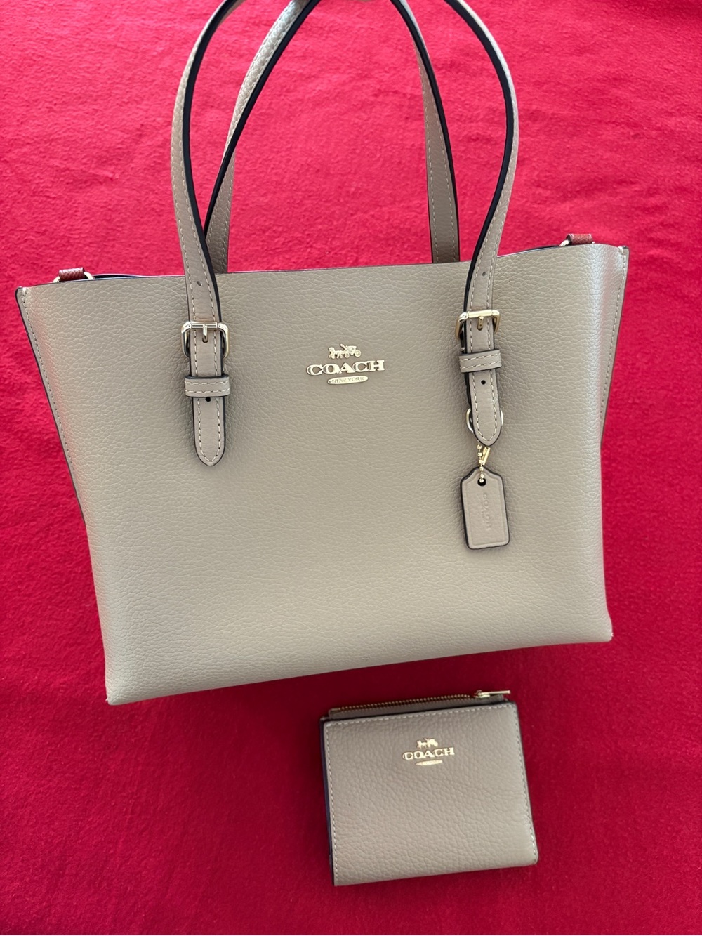 Coach Mollie Tote 25 & Matching Wallet Taupe Leather Crossbody Set